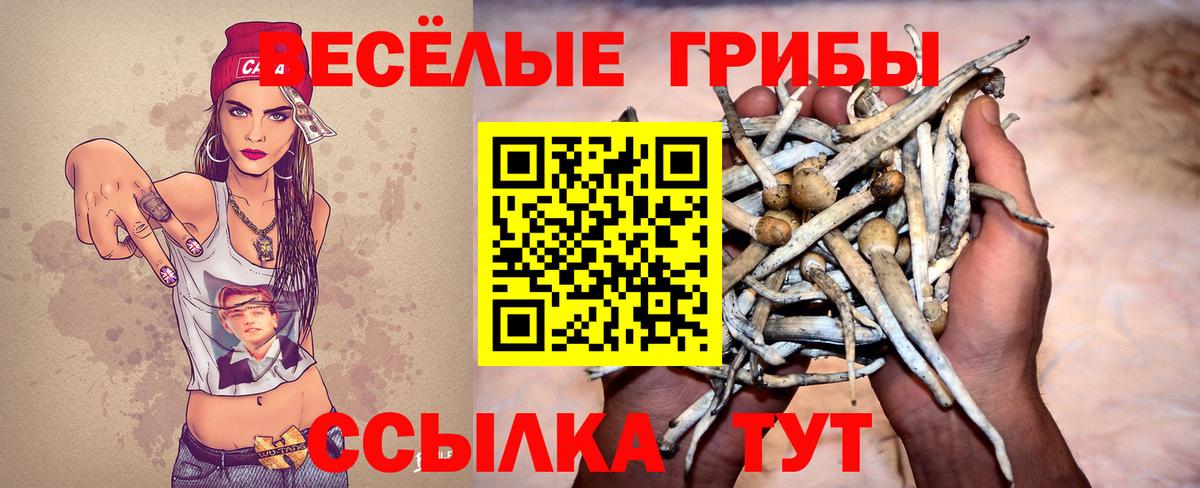 Галлюциногенные грибы Cubensis Сухой Лог